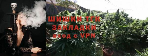 дмт Кодинск