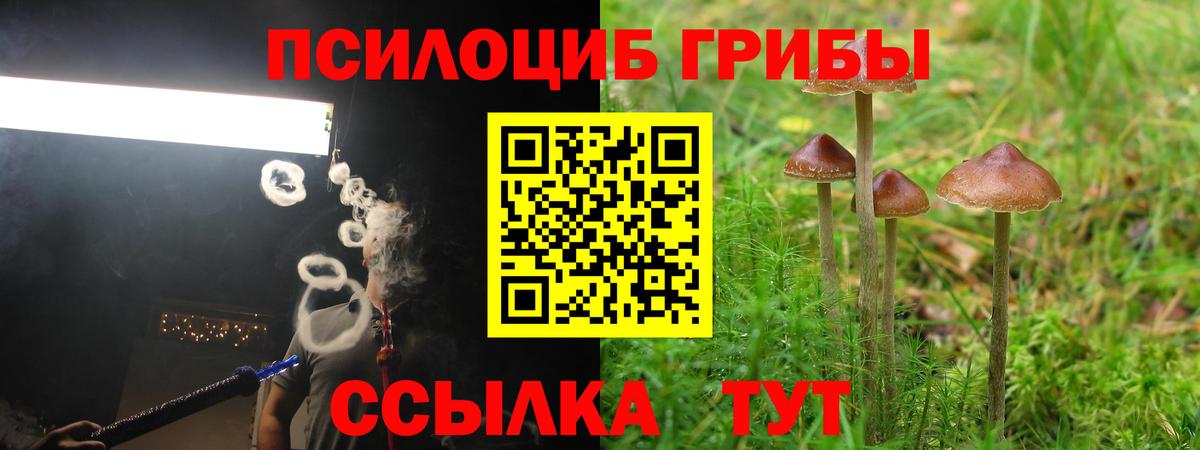 Псилоцибиновые грибы прущие грибы  Вход с VPN  Липецк 